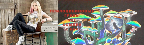 2c-b Елизово