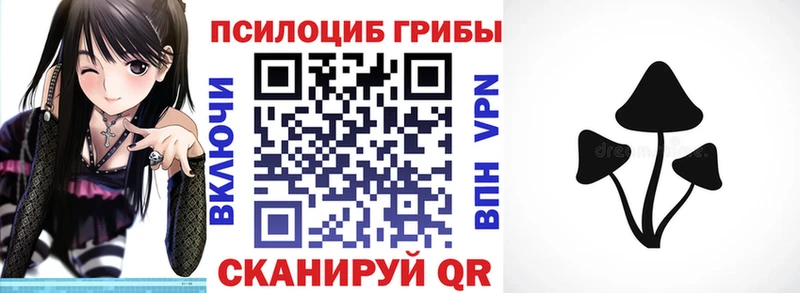 Купить закладки  Похвистнево  Псилоцибиновые грибы Magic Shrooms 